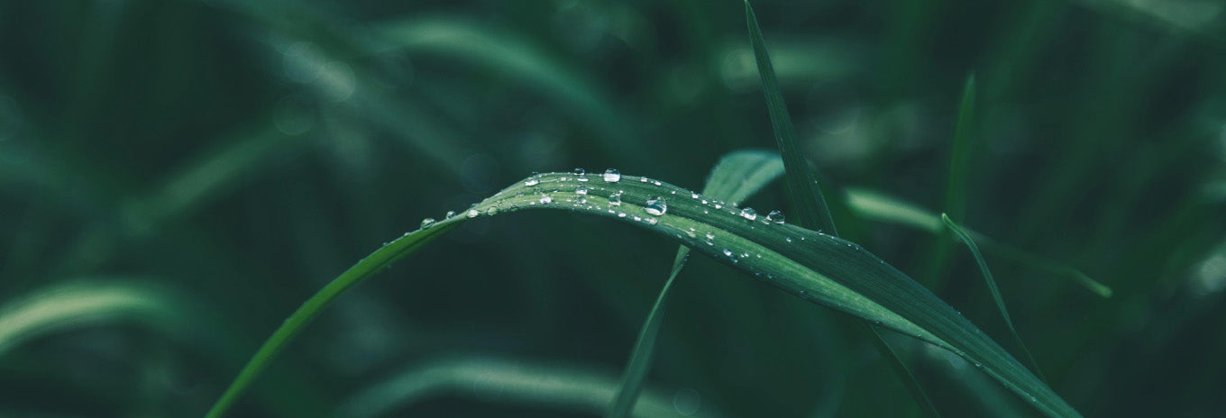 Deo Sense Technology: Keeping You Fresh and Confident All Day Long